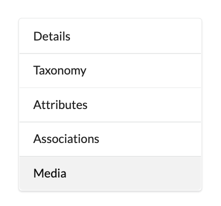 Veritcal tab navigation (details - taxonomy - attributes - associations - media)